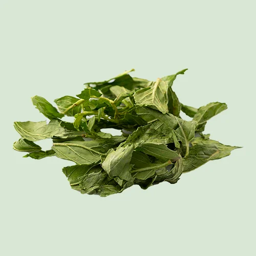 POMONA - Nane - Yaprak